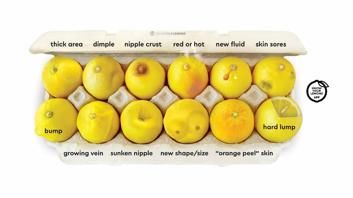 Citrons représentant les symptômes du cancer du sein - description détaillée disponible