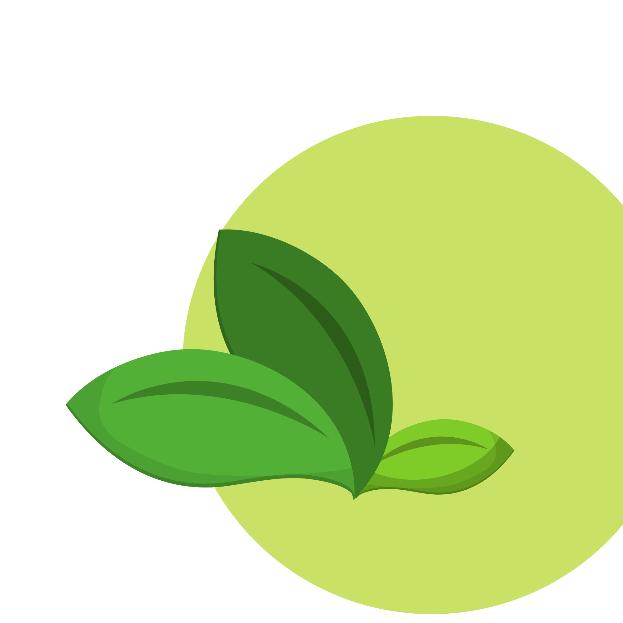 logo ingredients surs