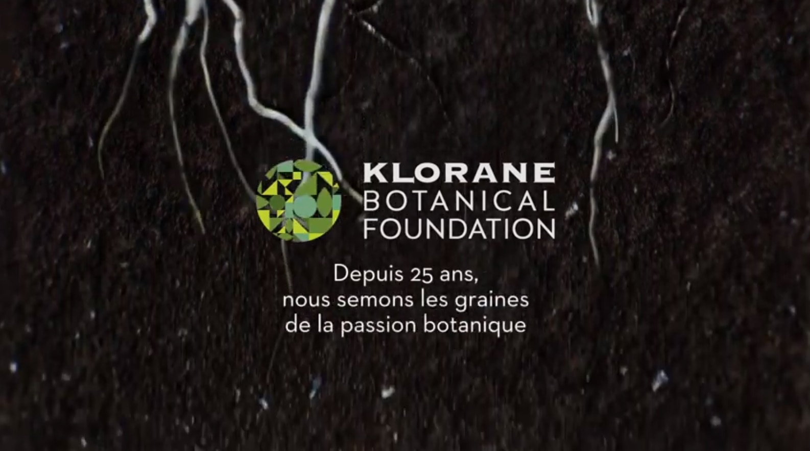 Qu'est ce qu'un herbier ?  Klorane Botanical Foundation