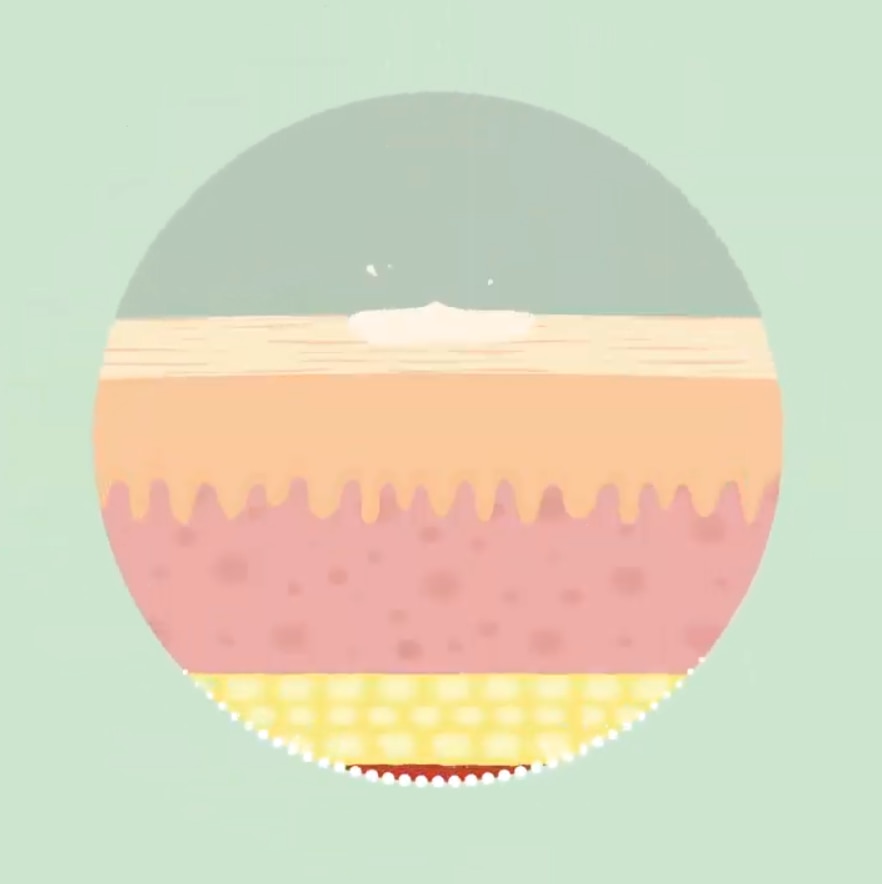 visuel video ingredients utilisation