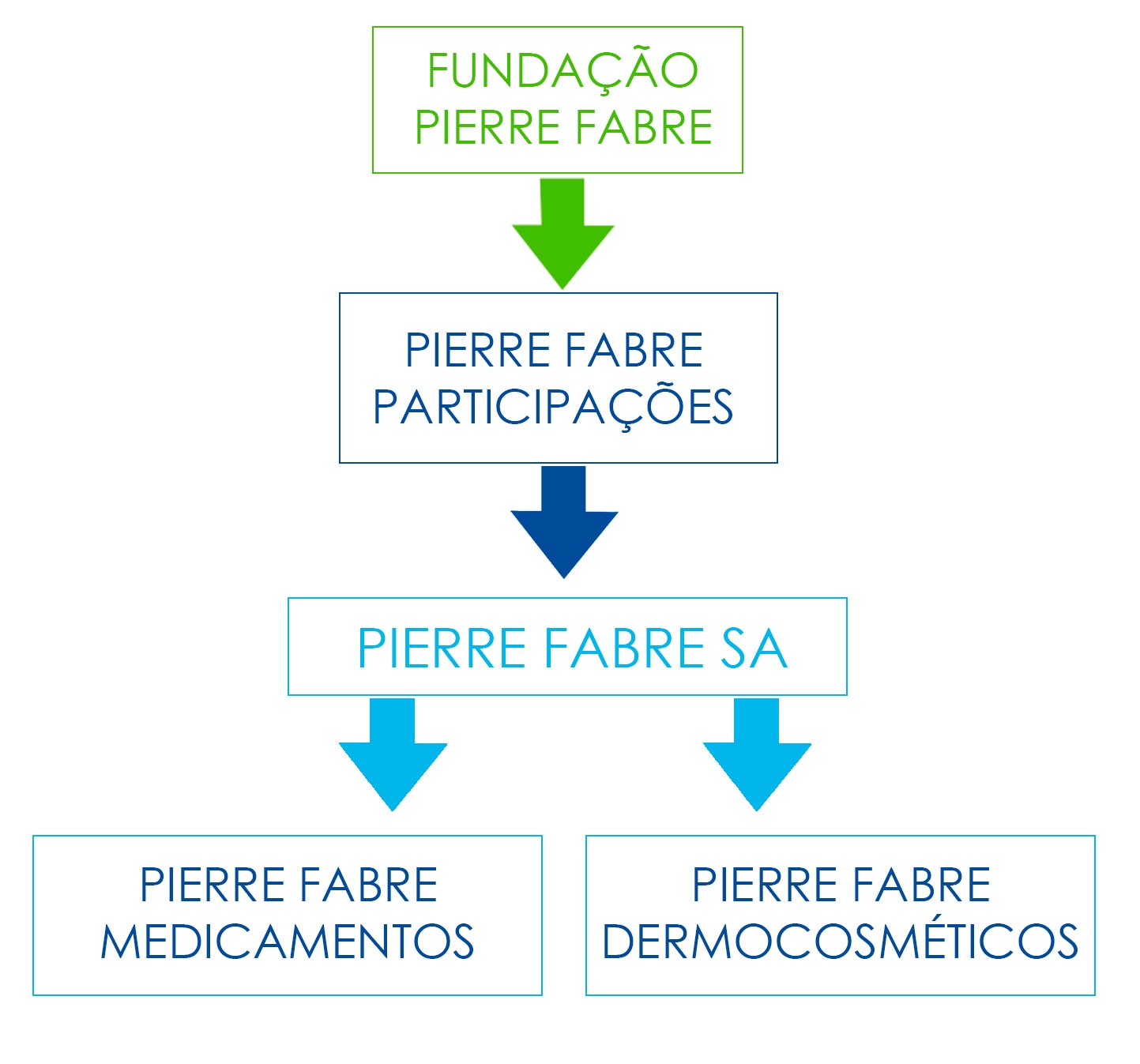 Grupo Pierre Fabre organograma