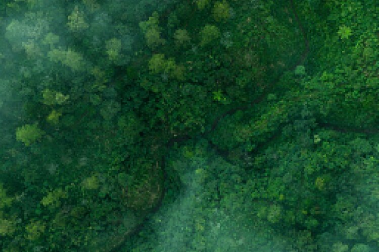 LP2 L'impact environnemental et sociétal d'un produit