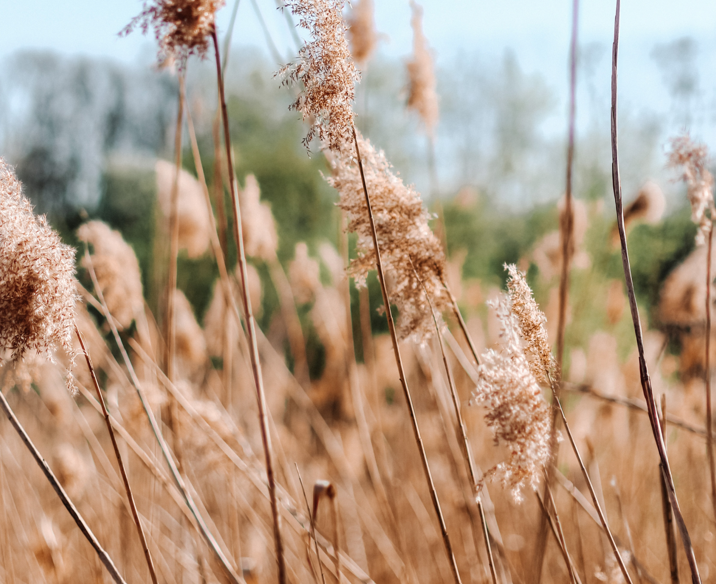 l'impact environnemental d'un produit