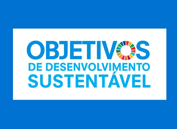 Logo ONU Desenvolvimento Sustentável