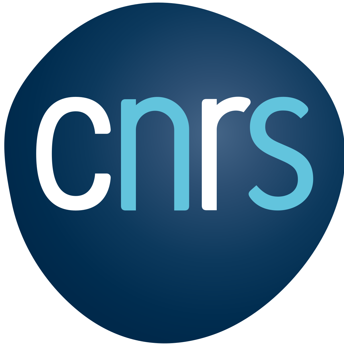 Logo CNRS en couleur