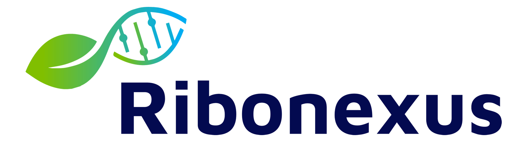 le logo Ribonexus 2023 en couleur