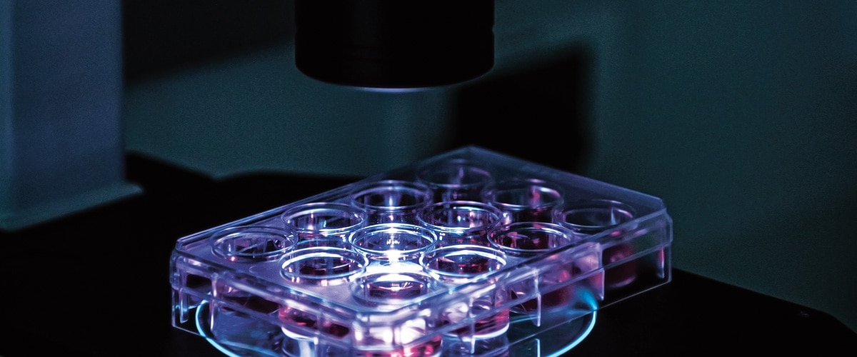 Une plaque de laboratoire avec plusieurs puits sous une lumière bleue