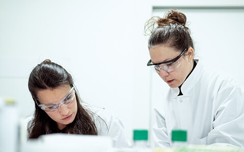 eux scientifiques en blouses blanches travaillant ensemble dans un laboratoire, l'un manipulant des échantillons avec des gants et l'autre observant.