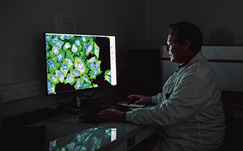 n chercheur en blouse blanche regardant un écran affichant des images microscopiques de cellules colorées en vert et bleu sur un grand écran