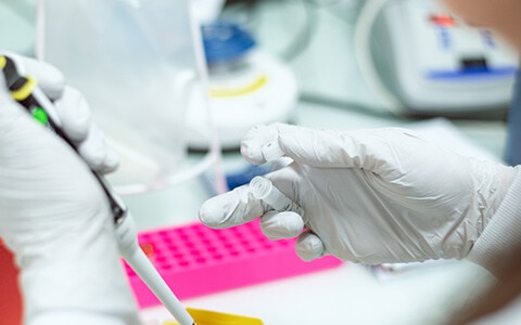 Gros plan des mains d'un scientifique utilisant une pipette pour transférer du liquide dans un récipient jaune".