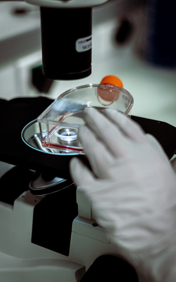 Un chercheur manipulant une boîte de Petri sous un microscope