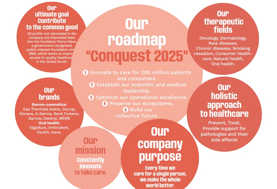 Diagram of the “Conquest 2025” roadmap