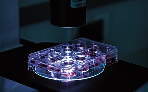 ne plaque de laboratoire avec plusieurs puits sous une lumière bleue