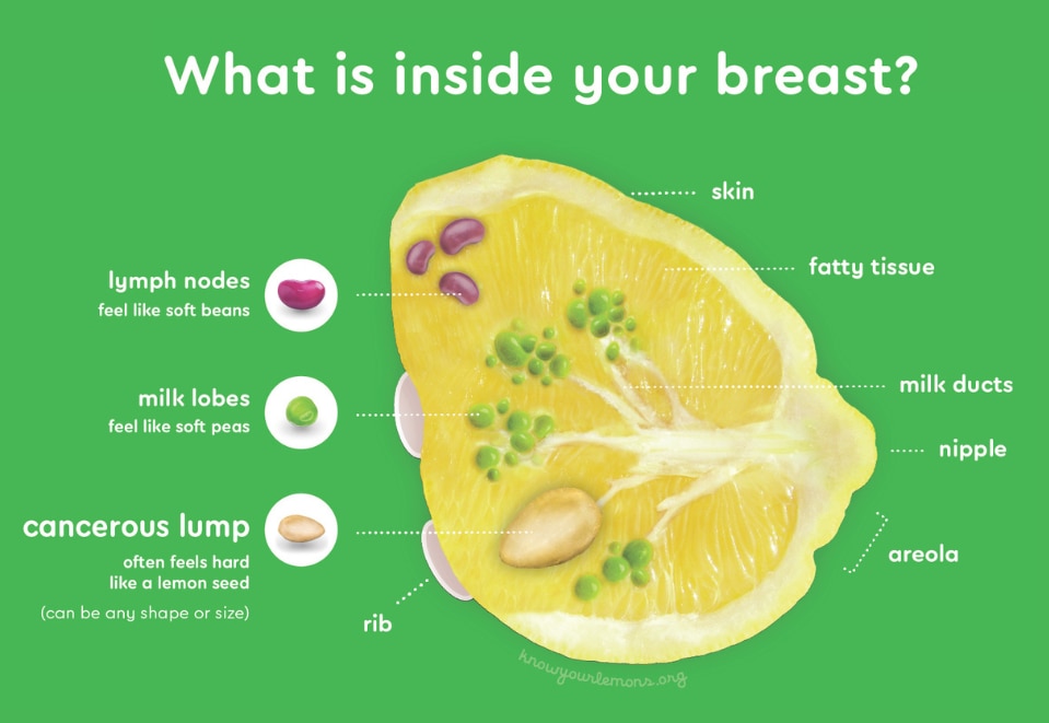 what its inside your breast