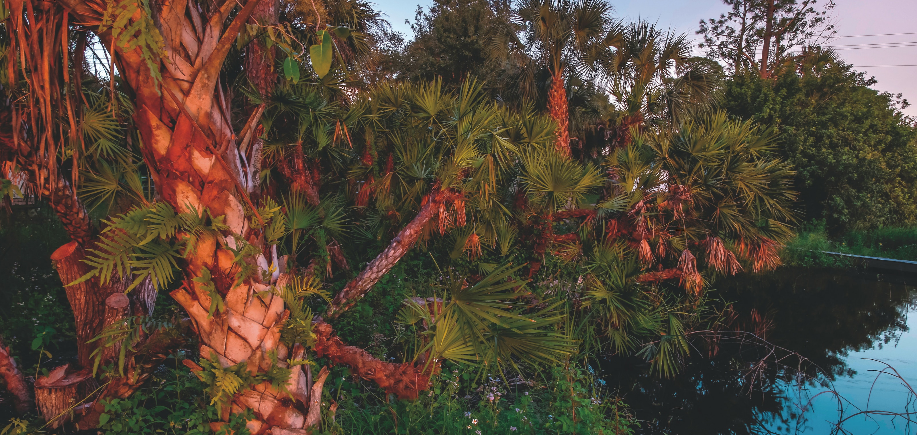 paysage soleil couchant