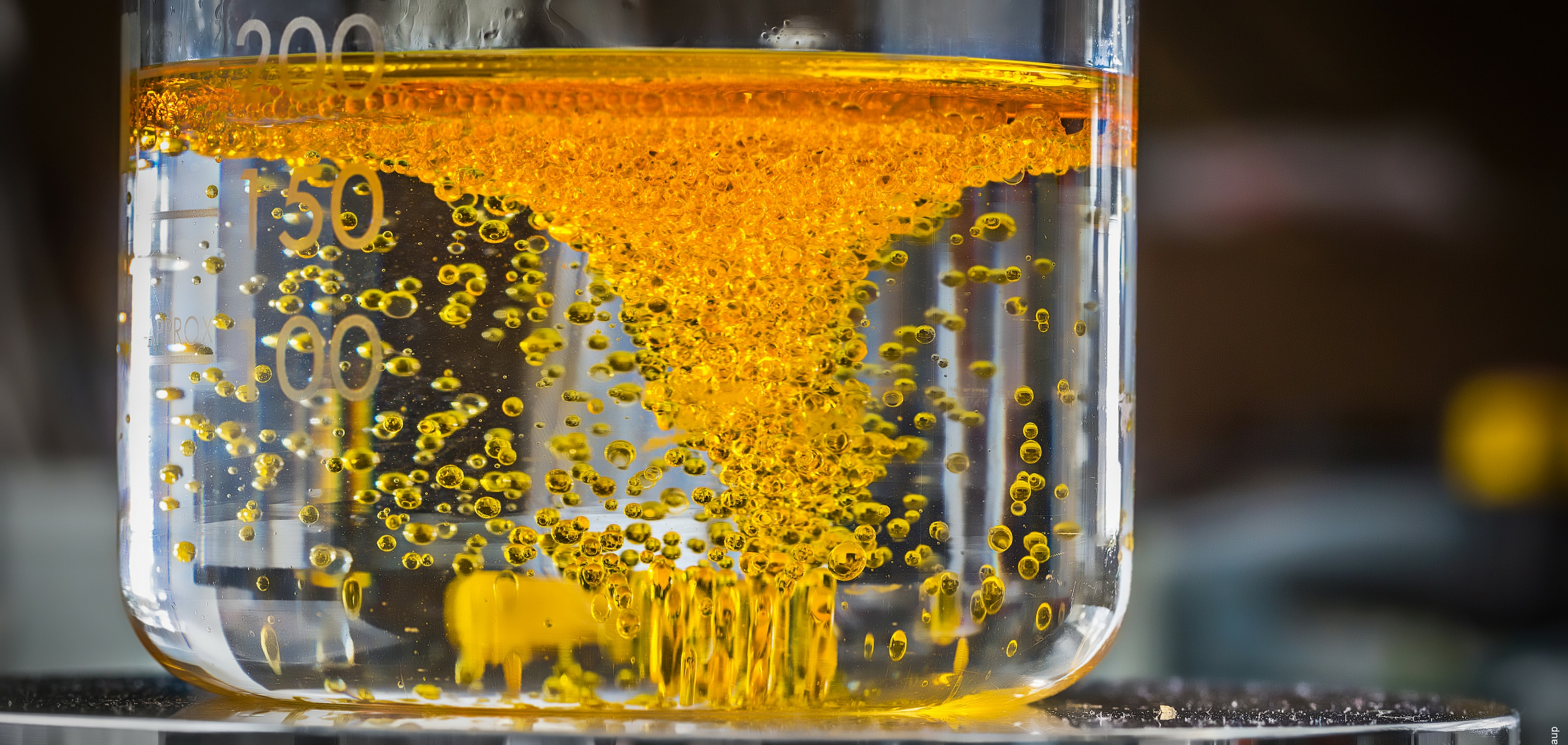 en tete ingredients surs