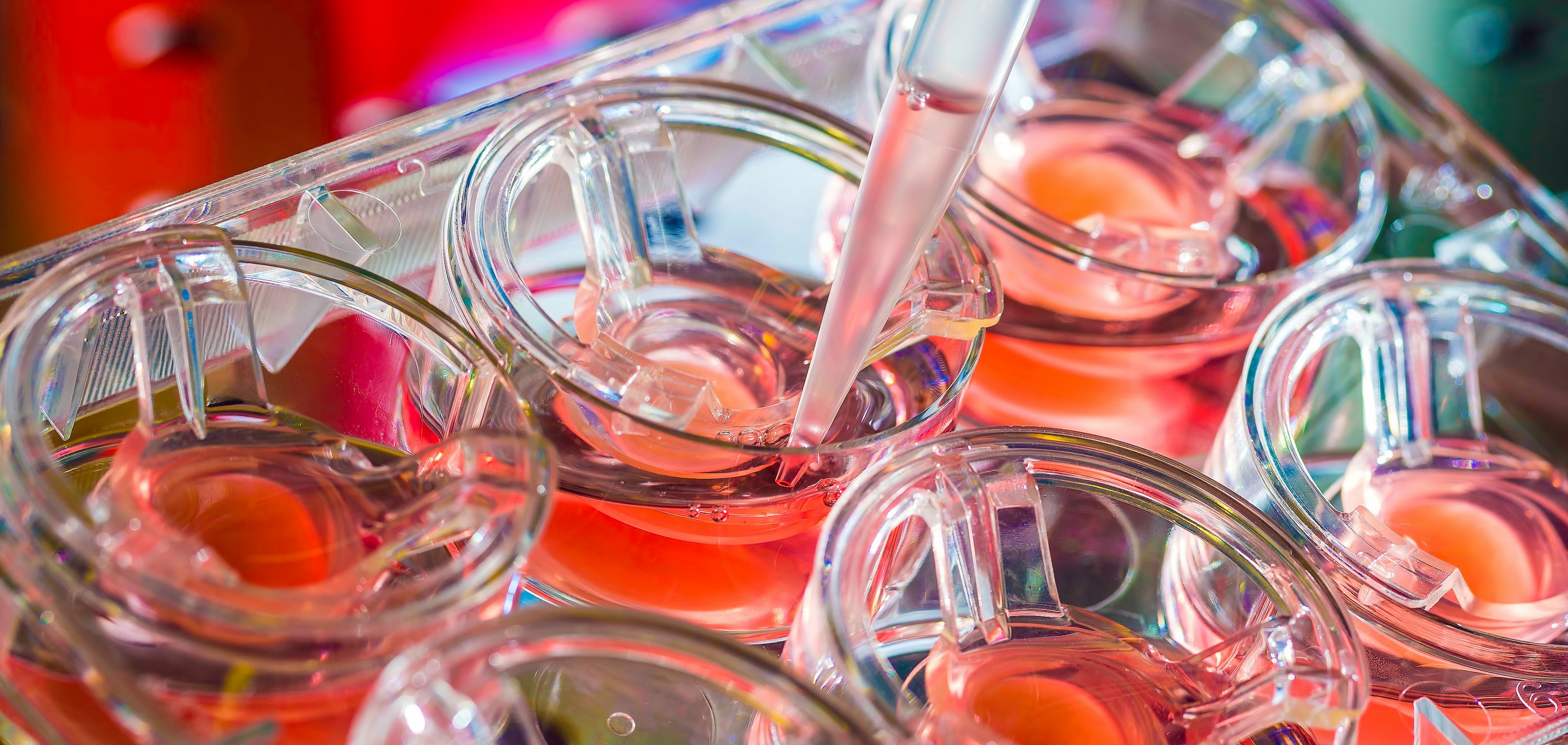 en tête innovation recherche oncopole