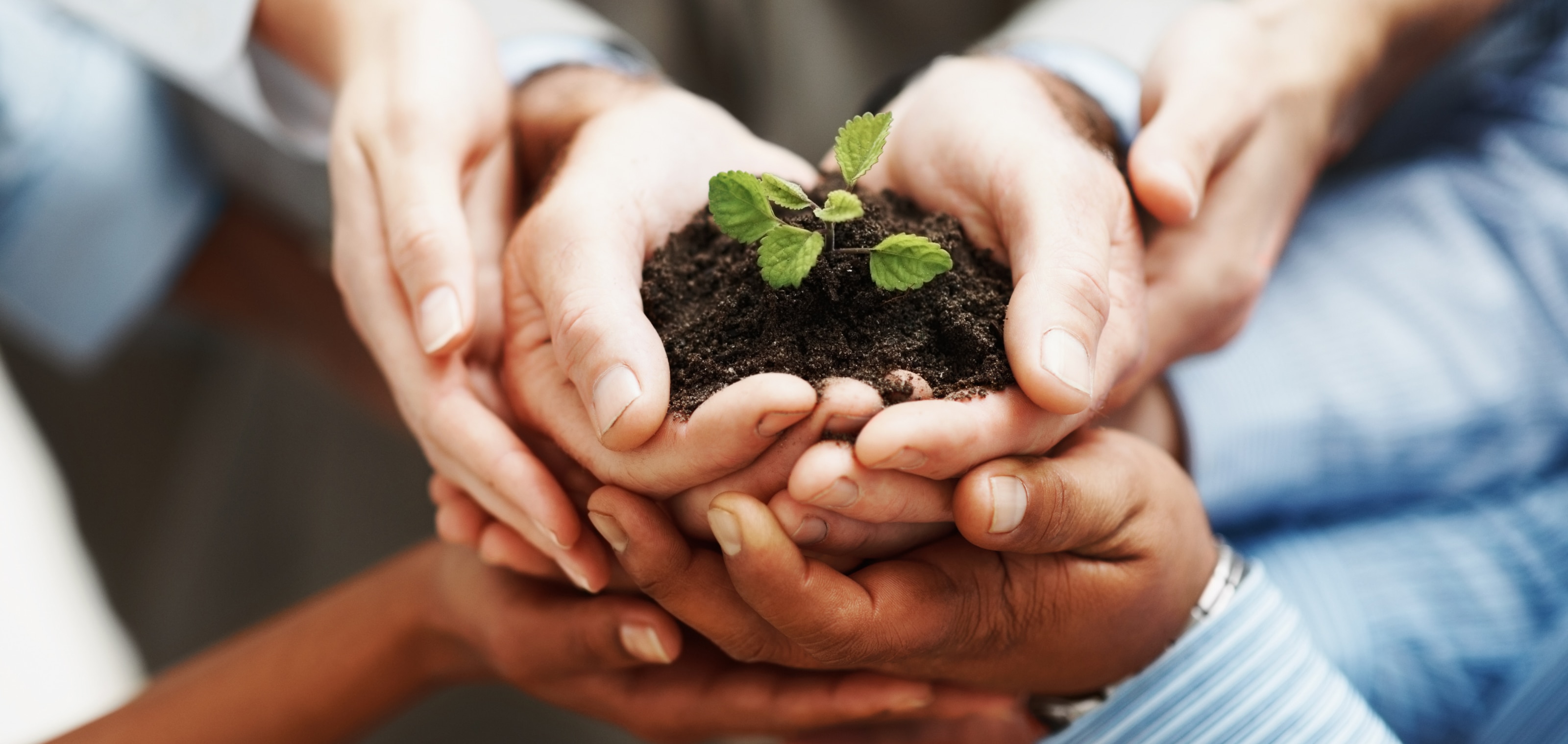 Business Development 2021@ Pierre-fabre