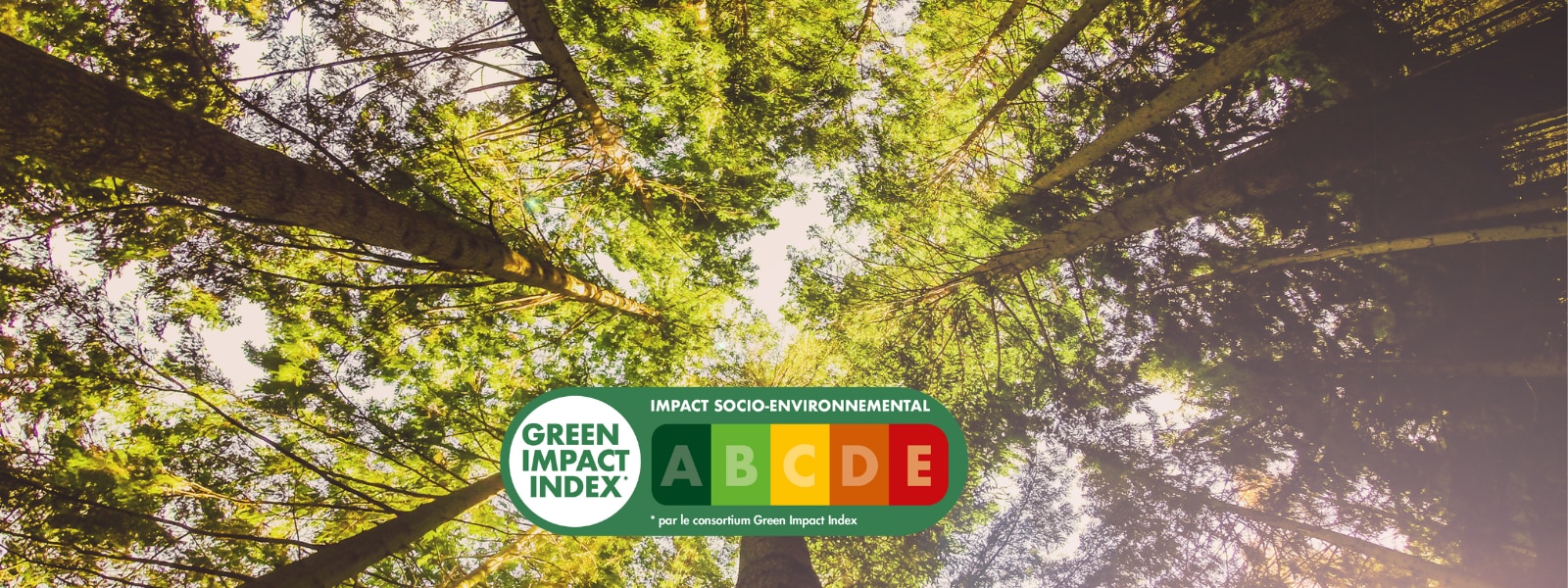 Le Green Impact Index par le Consortium