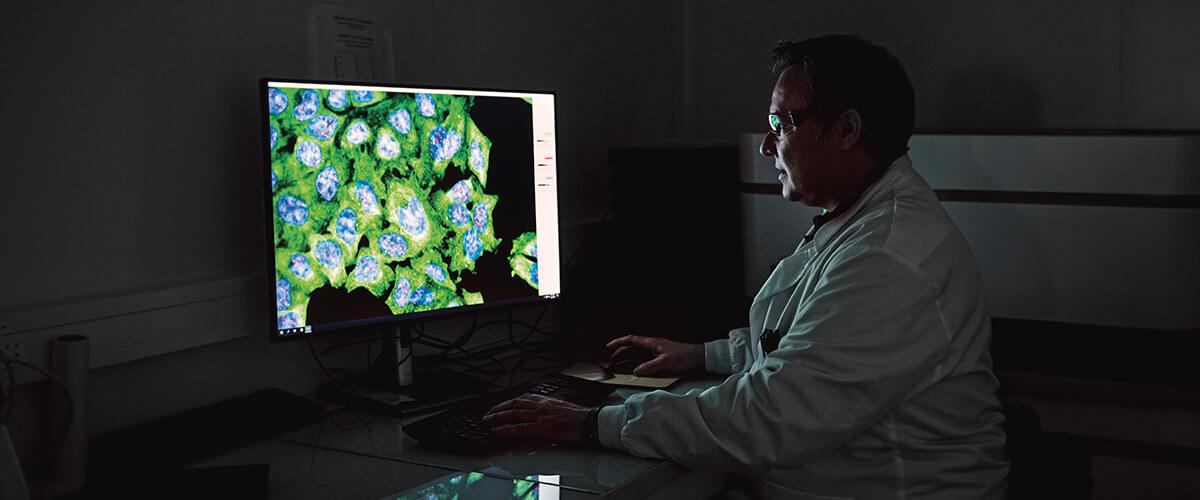 n chercheur en blouse blanche regardant un écran affichant des images microscopiques de cellules colorées en vert et bleu sur un grand écran