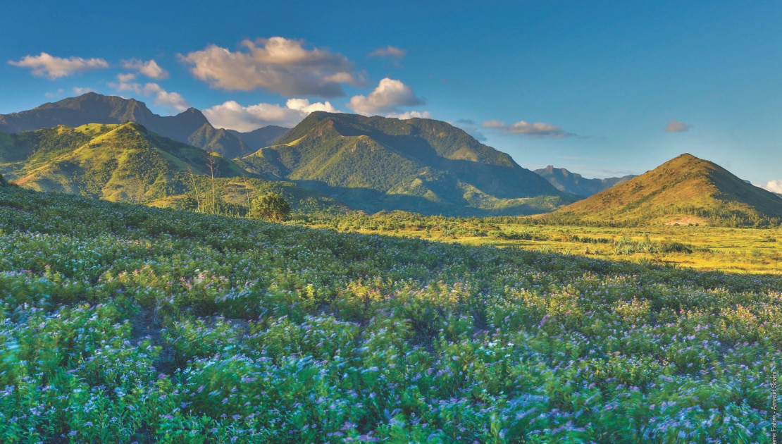 filiale malgache Pierre Fabre