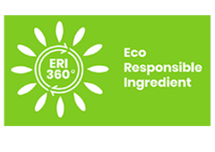 LOGO ERI 360