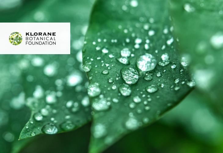 Pour cultiver la passion de la botanique