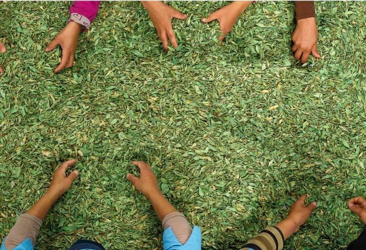 en tete developpement durable