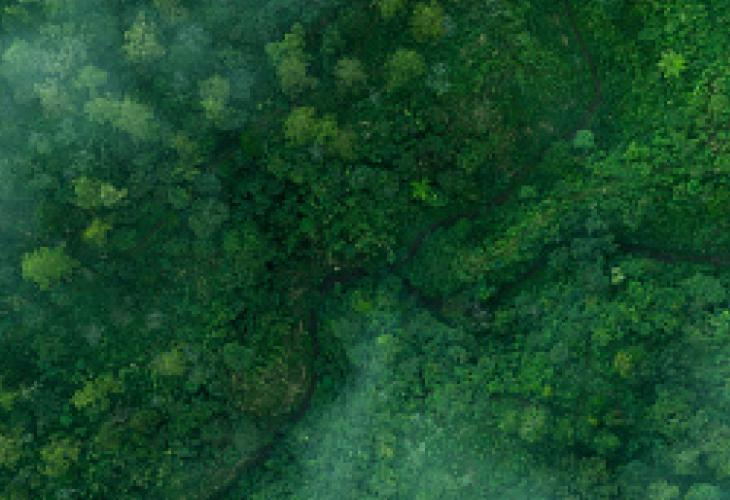 LP2 L'impact environnemental et sociétal d'un produit