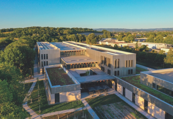 meilleurs voeux 2026