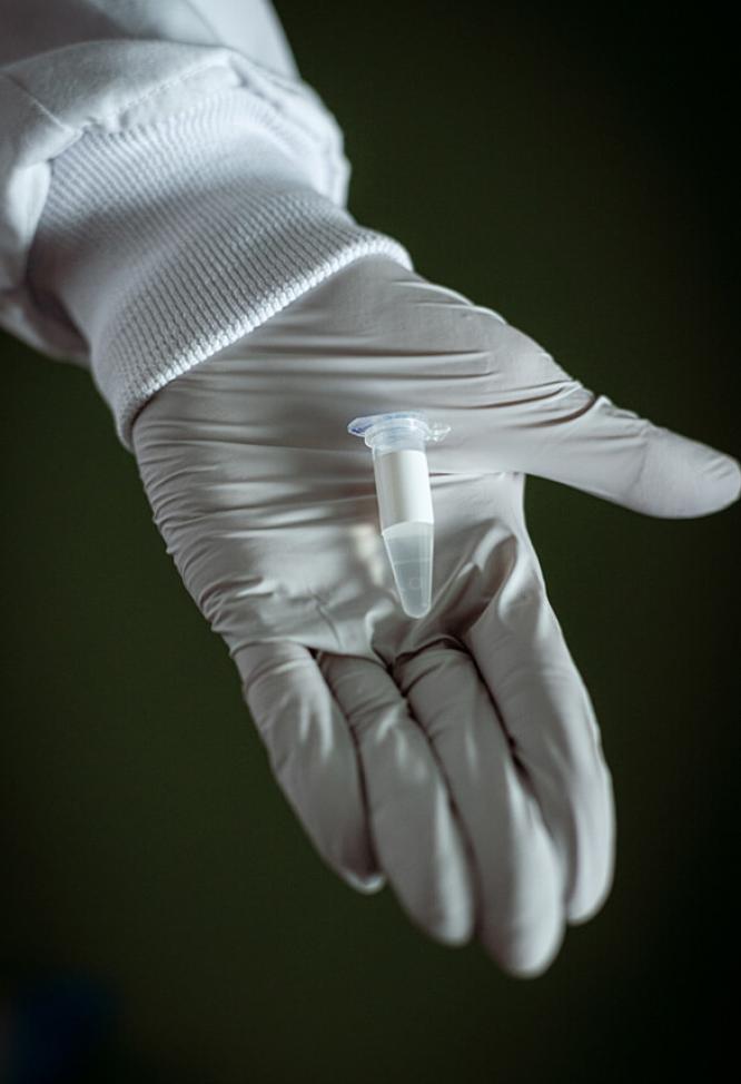 Gros plan de la main d’un scientifique montrant un échantillon d’analyse