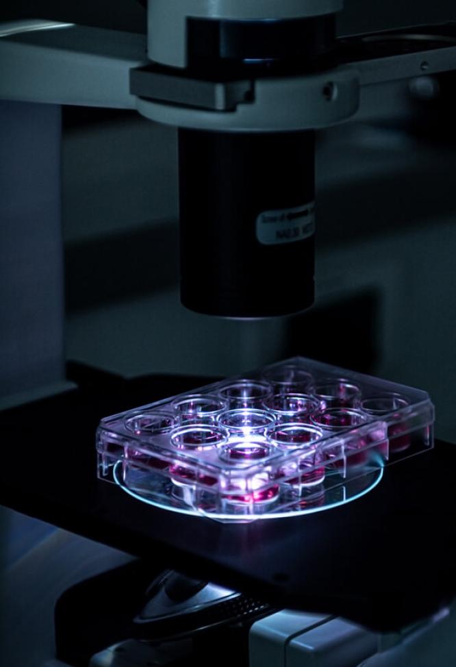 Gros plan sur une boîte de Petri éclairée.