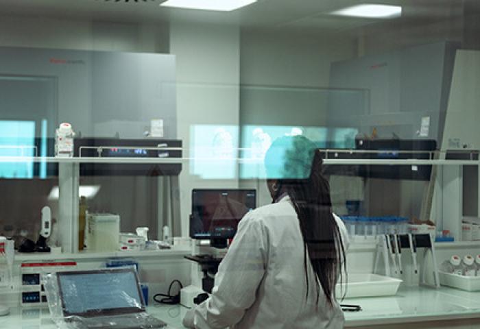 Scientifique travaillant avec des équipements de laboratoire, vue à travers une vitre