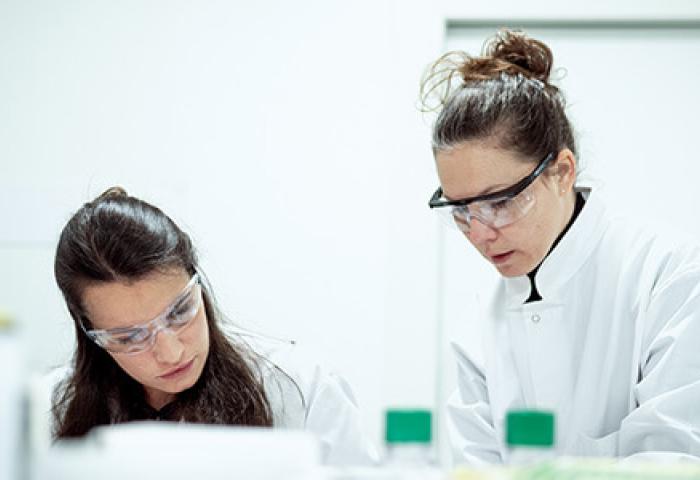 eux scientifiques en blouses blanches travaillant ensemble dans un laboratoire, l'un manipulant des échantillons avec des gants et l'autre observant.