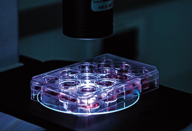 ne plaque de laboratoire avec plusieurs puits sous une lumière bleue